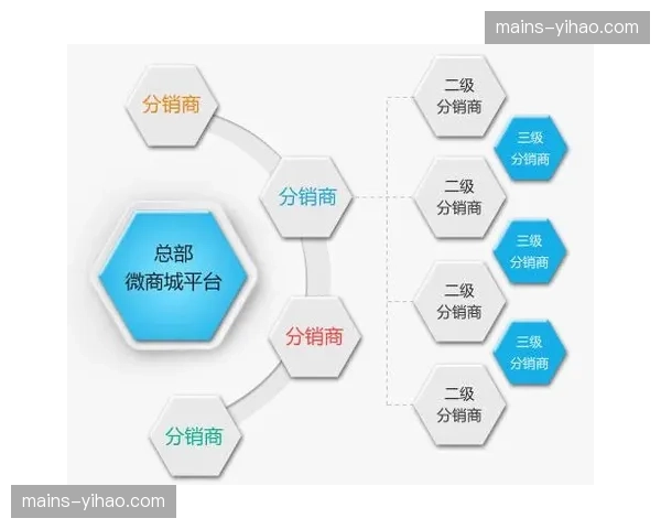 去中心化采买模式本季起势 传统代理分销层级面临缩减